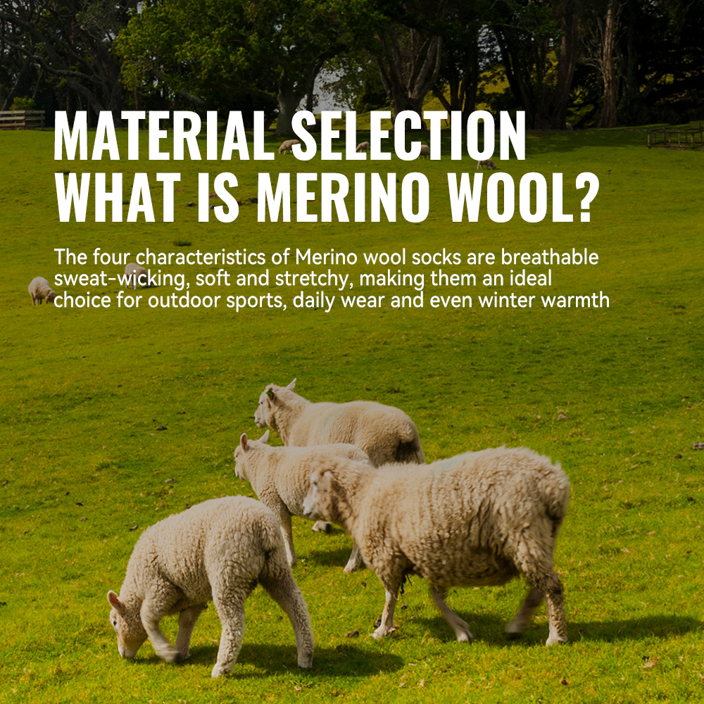 WRELS 1/2/3 Merino Wool Socks  - Thermal Sock Wool avis et prix